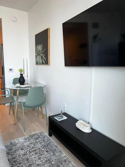 Apartmán Luxury High-Rise Studio Brooklyn New York USA